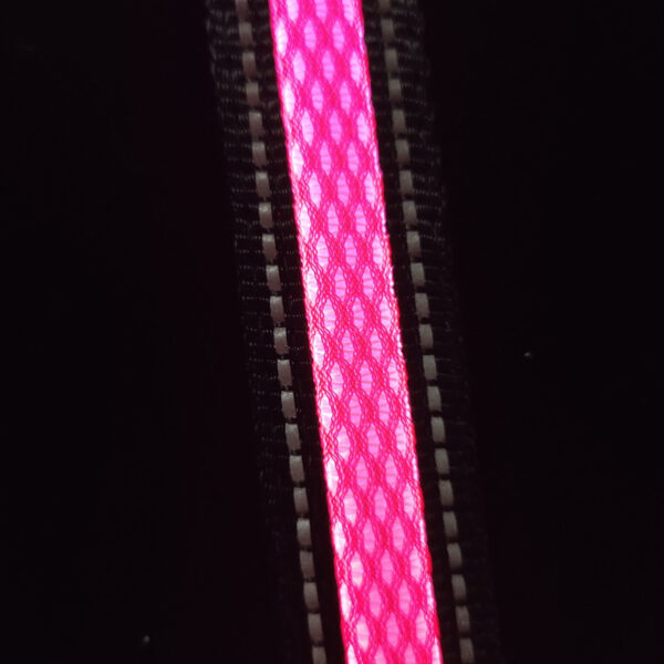 ae313ed6 cd1d 4c73 8c7e 13152c388404.jpg
