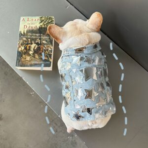 1a00763b d06c 4403 b844 55f90bce4c9d.jpg