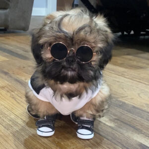 2c9a2374 20fa 44ea 9335 58549eb27b4e.jpg