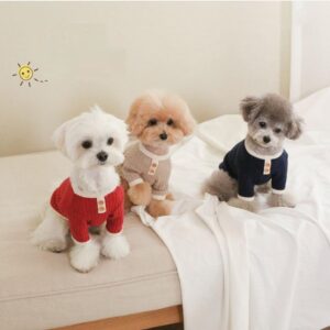 57a452f8 1409 4f72 94a3 ec4dab5b2ff7.jpg