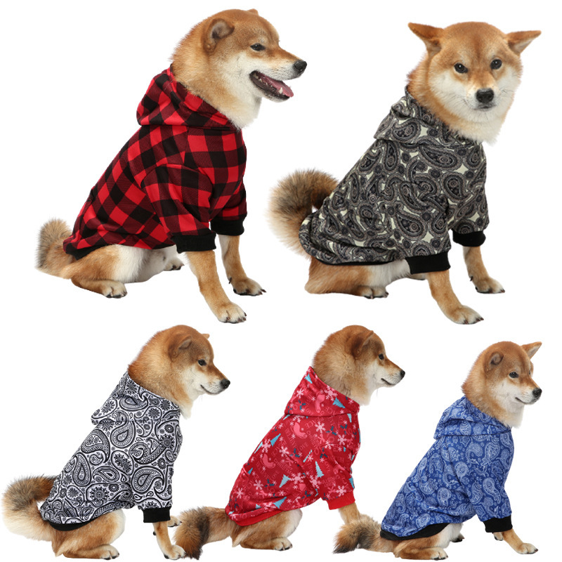 660facbe 86a7 494d a5a0 24f88f78644c.jpg 660facbe 86a7 494d a5a0 24f88f78644c.jpg