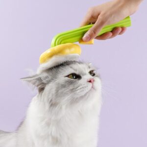 82cf4c03 c11c 463a 961f 61fbdcb6c012.jpg