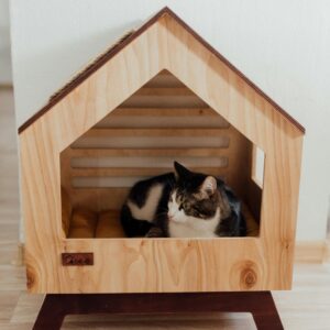 Home Pet Furnitures